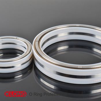 Etanșare cu piston dublu Lipseal