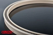 Primăvară energizat PTFE Rotativ Lip Seal